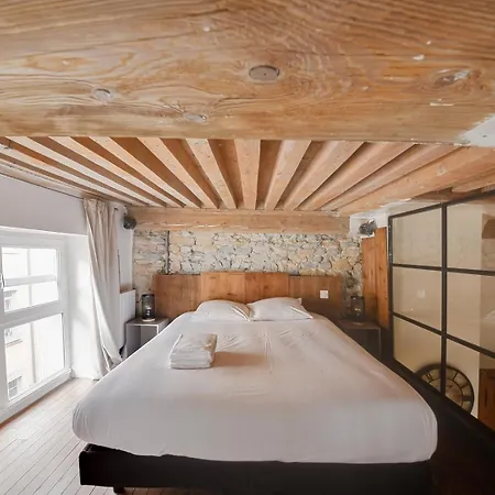 Apartment Guestready - Magnificent Duplex Canut Hypercentre *